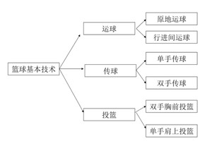  如何找到关于篮球前沿技术的最新资讯：全面指南与策略